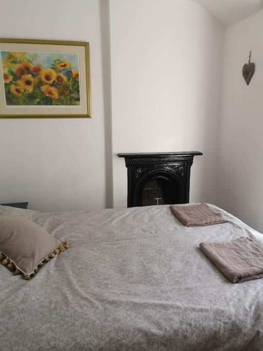 Dol Bach - Your Homely Welsh Cottage In The Heart Of Snowdonia Blaenau Ffestiniog Exterior photo