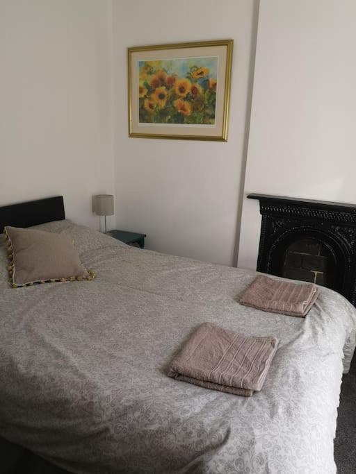 Dol Bach - Your Homely Welsh Cottage In The Heart Of Snowdonia Blaenau Ffestiniog Exterior photo